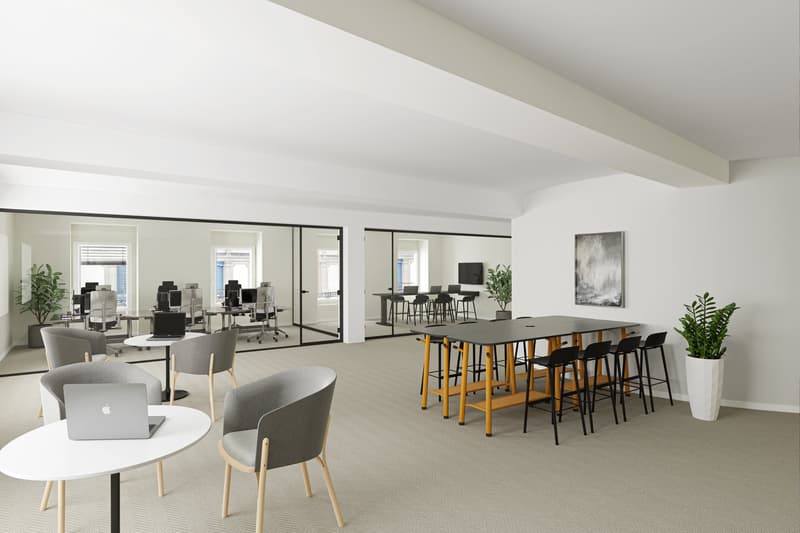 Magnifici uffici di 730 m2 in piazza Longemalle (4)