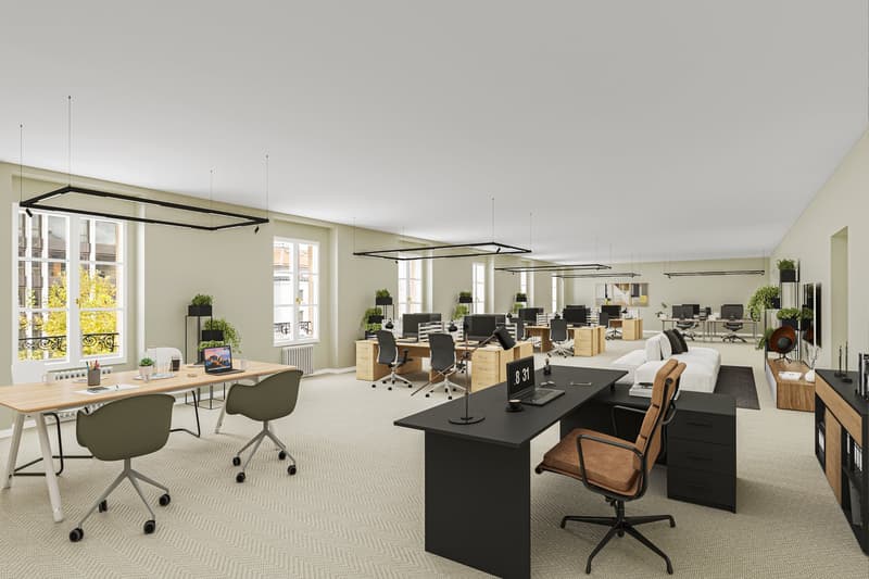 Magnifici uffici di 730 m2 in piazza Longemalle (2)