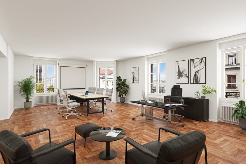 Magnifici uffici di 730 m2 in piazza Longemalle (3)