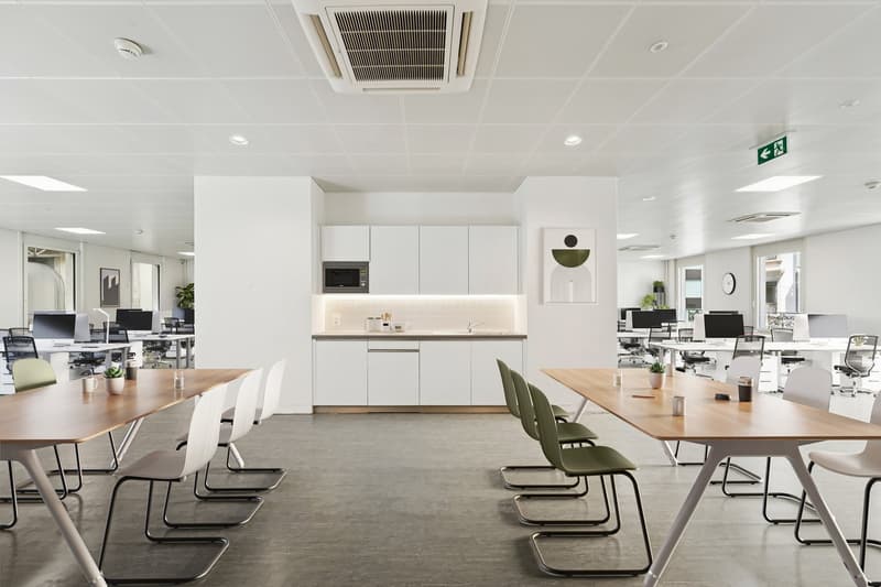 Magnificent offices of 250 m2 on Rue du Port 4 (4)