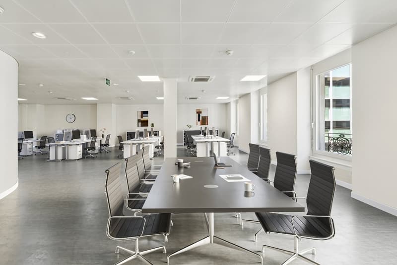 Magnificent offices of 250 m2 on Rue du Port 4 (5)