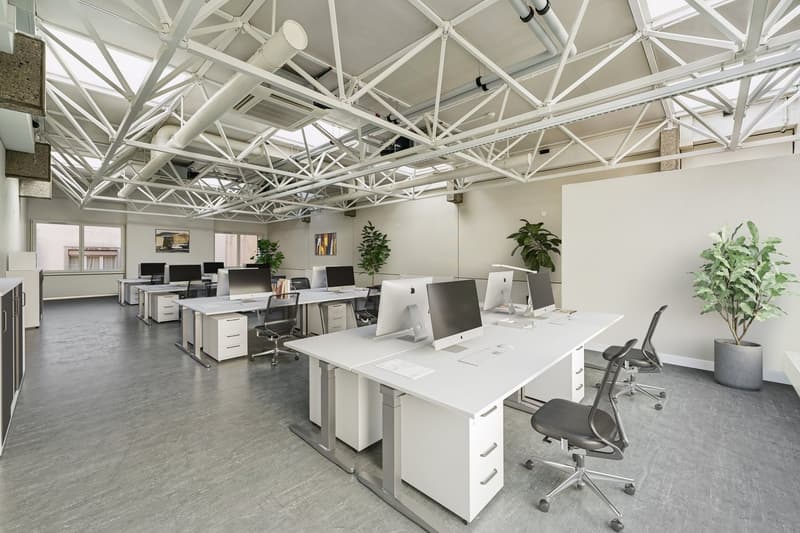 Magnificent offices of 250 m2 on Rue du Port 4 (7)