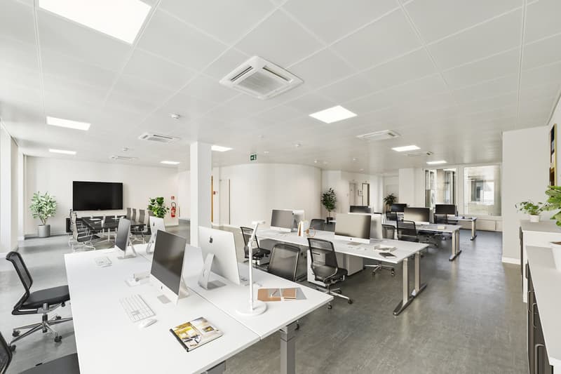 Magnificent offices of 250 m2 on Rue du Port 4 (6)