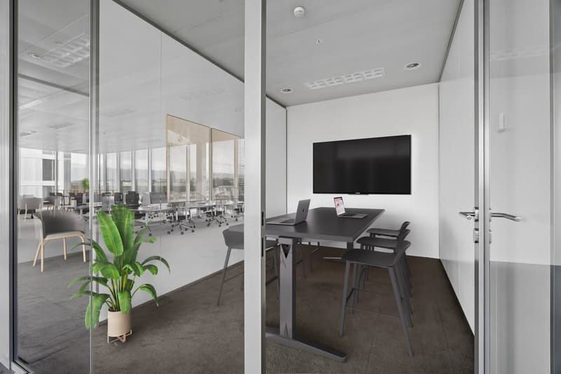 Surface disponible 450 m2- Immeuble Galaise 24 à Plan-Les-Ouates (7)