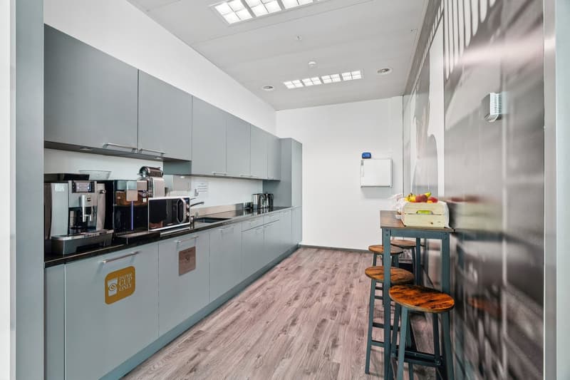 Surface disponible 450 m2- Immeuble Galaise 24 à Plan-Les-Ouates (12)