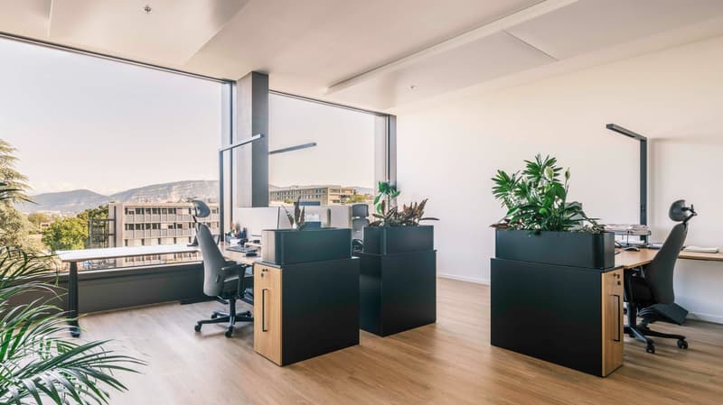 Modern and spacious office space with large windows offering a scenic view, wooden floors, black office desks and chairs, and decorative plants adding a touch of greenery to the workspace.
