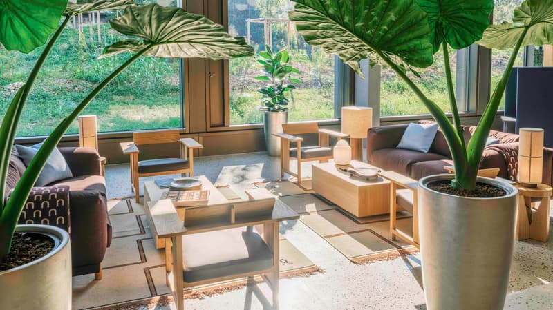 Spacious living room with large windows overlooking a lush, green outdoor area. The room features wooden furniture, including a coffee table, chairs, and a sofa. Potted plants and decorative elements add to the natural, relaxing atmosphere.