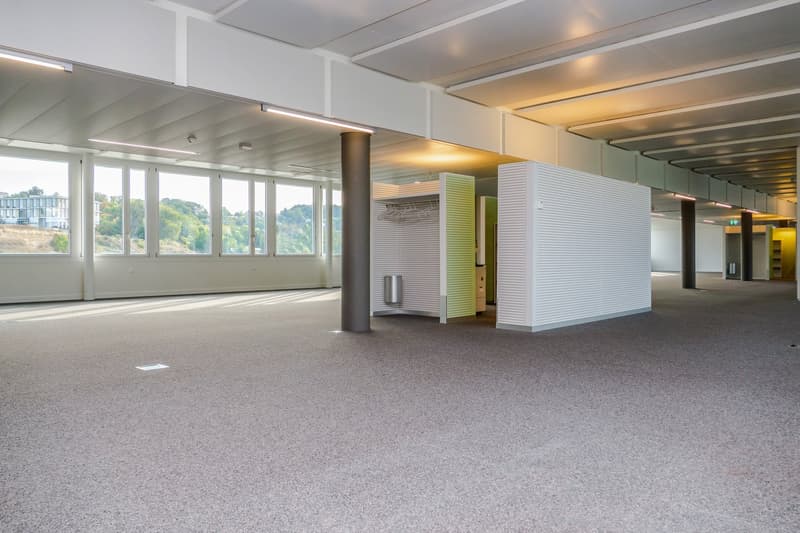 427 m2 - Magnifiques surfaces de bureaux à coté de Biopôle (5)