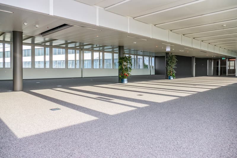 427 m2 - Prächtige Büroflächen neben Biopôle (2)