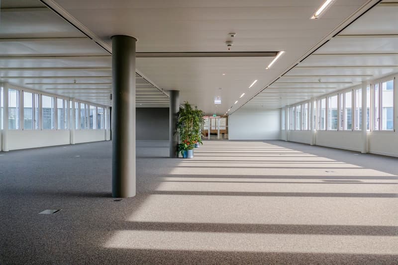 427 m2 - Magnifiques surfaces de bureaux à coté de Biopôle (6)