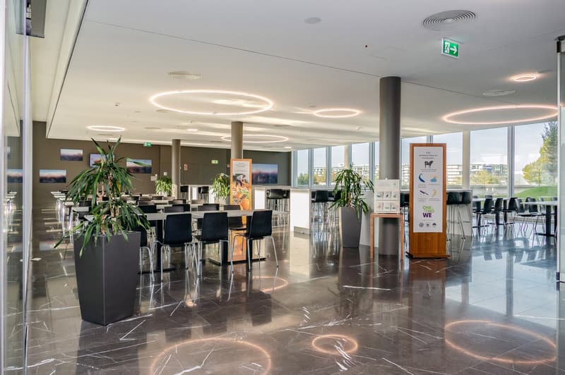 427 m2 - Magnifiques surfaces de bureaux à coté de Biopôle (7)