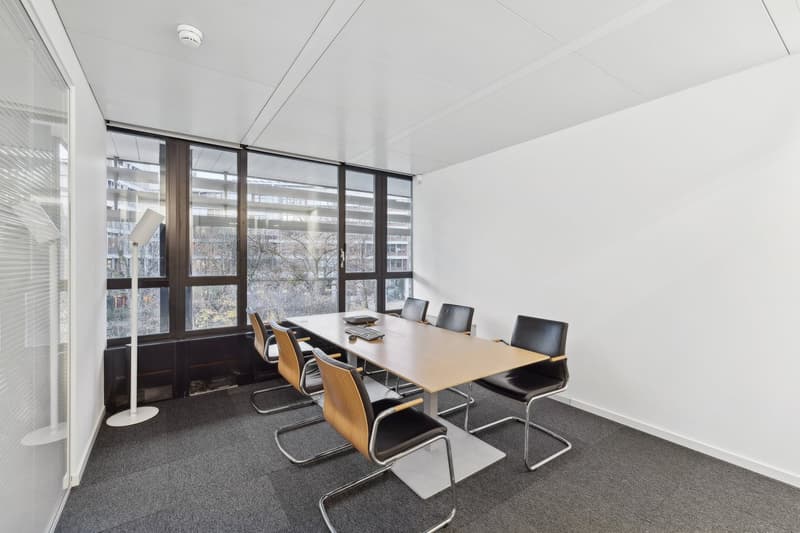 modern conference room with long table, chairs, glass windows, and ceiling lamps