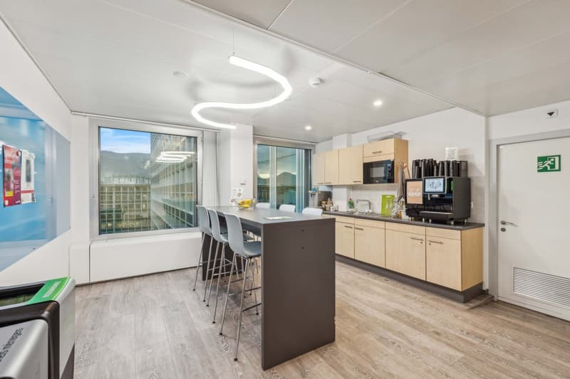 UFFICI PLUG & WORK 1'075 m² | Quartiere Pont Rouge (6)