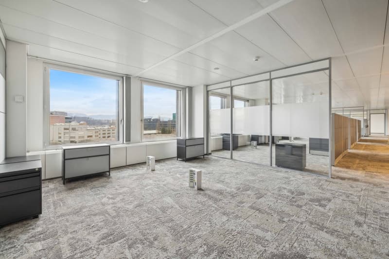 UFFICI PLUG & WORK 1'075 m² | Quartiere Pont Rouge (4)