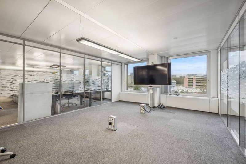 UFFICI PLUG & WORK 1'075 m² | Quartiere Pont Rouge (5)
