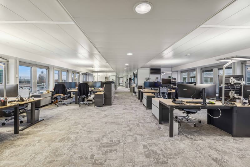 BUREAUX PLUG & WORK 1'830 m² | Quartier Pont Rouge (7)