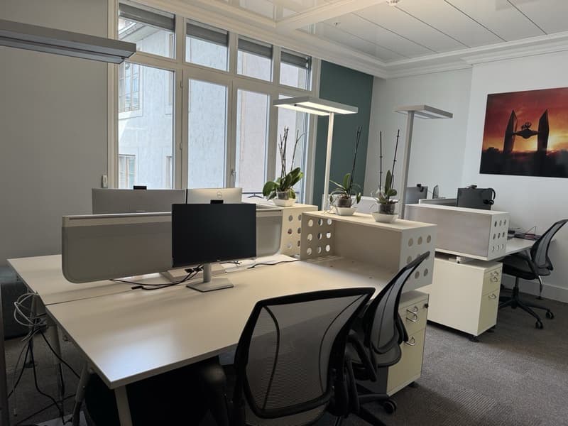 1'000 m² von Prestige mit Terrasse - Zentrum Genf (11)