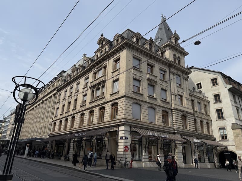 1'000 m² von Prestige mit Terrasse - Zentrum Genf (1)