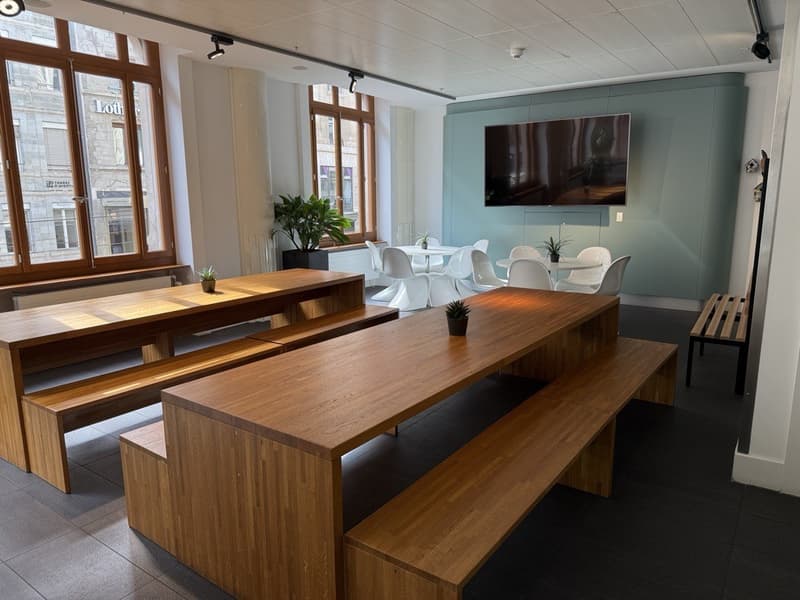 1'000 m² von Prestige mit Terrasse - Zentrum Genf (5)