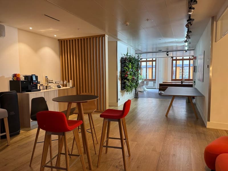 1'000 m² von Prestige mit Terrasse - Zentrum Genf (2)
