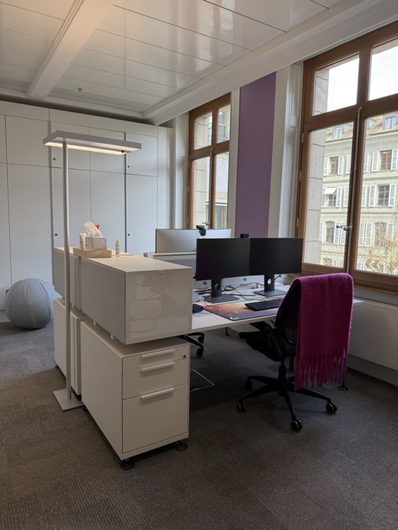 1'000 m² von Prestige mit Terrasse - Zentrum Genf (9)