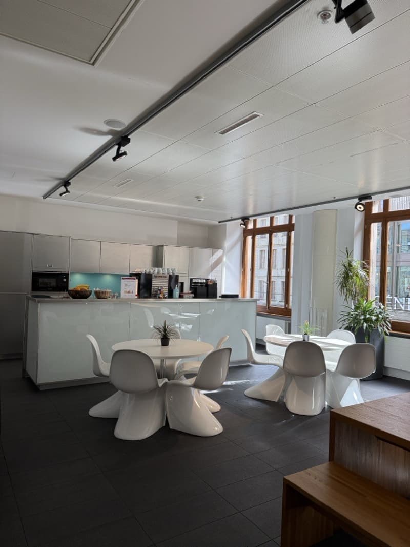 1'000 m² von Prestige mit Terrasse - Zentrum Genf (8)