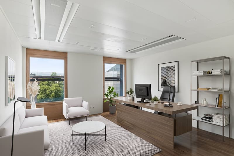 Rue du Mont-Blanc 7 - Superficie di uffici di 306 m2 (4)