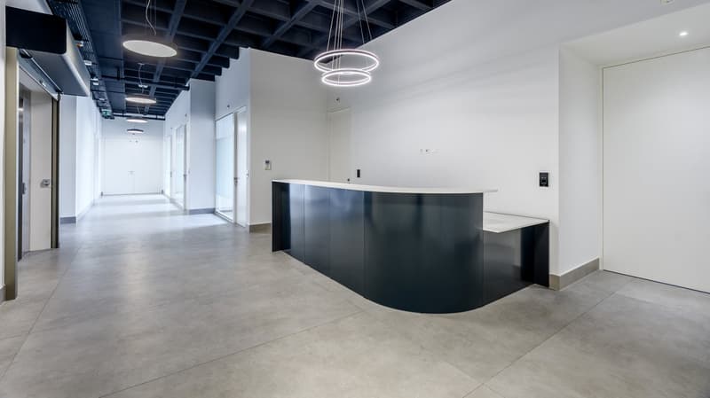 Espace de bureaux premium 655 m² - Cœur du quartier des Nations Unies (4)