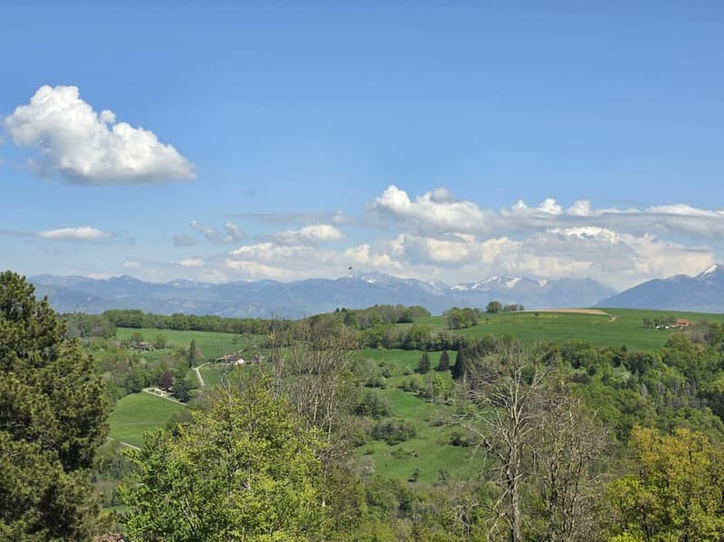 Chalet mit Panoramablick und Garten - La Muraz (10)