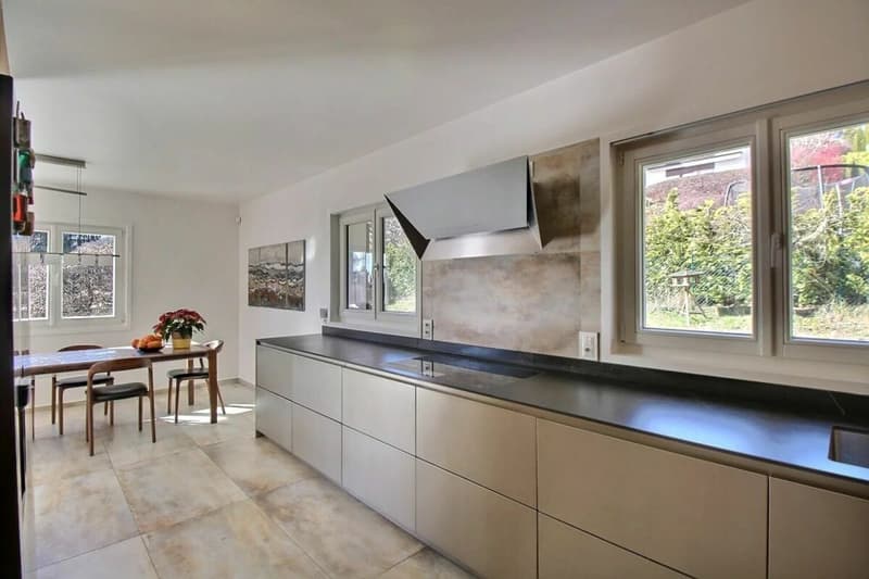 Villa ristrutturata con jacuzzi e sauna - magnifico giardino con vista sul lago e Mont-Blanc (11)