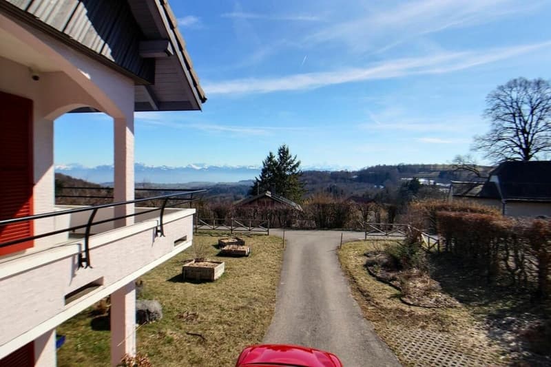 Villa ristrutturata con jacuzzi e sauna - magnifico giardino con vista sul lago e Mont-Blanc (12)
