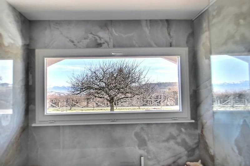 Villa ristrutturata con jacuzzi e sauna - magnifico giardino con vista sul lago e Mont-Blanc (7)