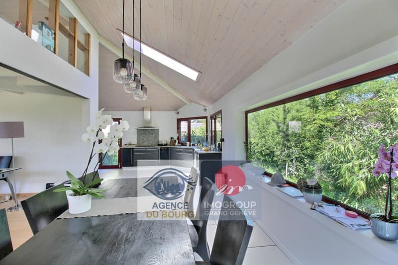 Villa d'architecte avec vue sur le Salève à 10 min de Genève (3)