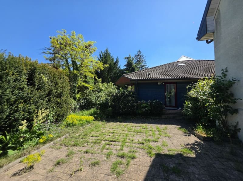 Villa d'architecte avec vue sur le Salève à 10 min de Genève (5)