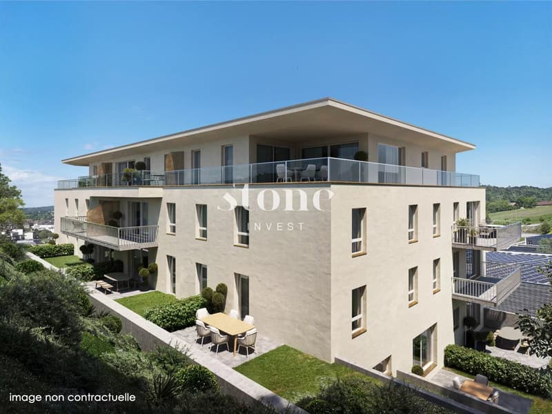 Superbe attique traversant avec terrasse de 60m2 (3)