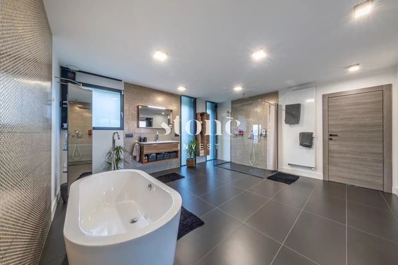 Superbe maison 5 chambres, 355 m² - PRINGY (9)