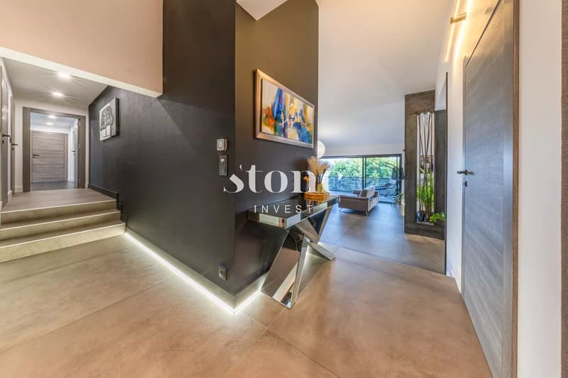 Superbe maison 5 chambres, 355 m² - PRINGY (6)