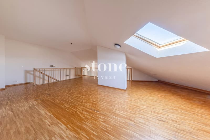 Bright Attic with Terrace (10)