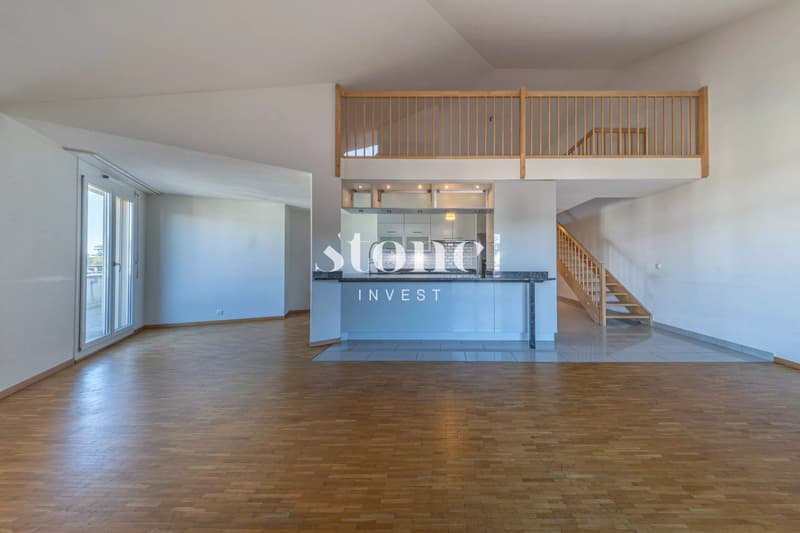 Bright Attic with Terrace (4)