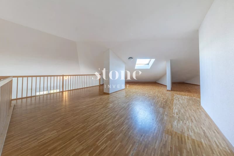 Bright Attic with Terrace (11)