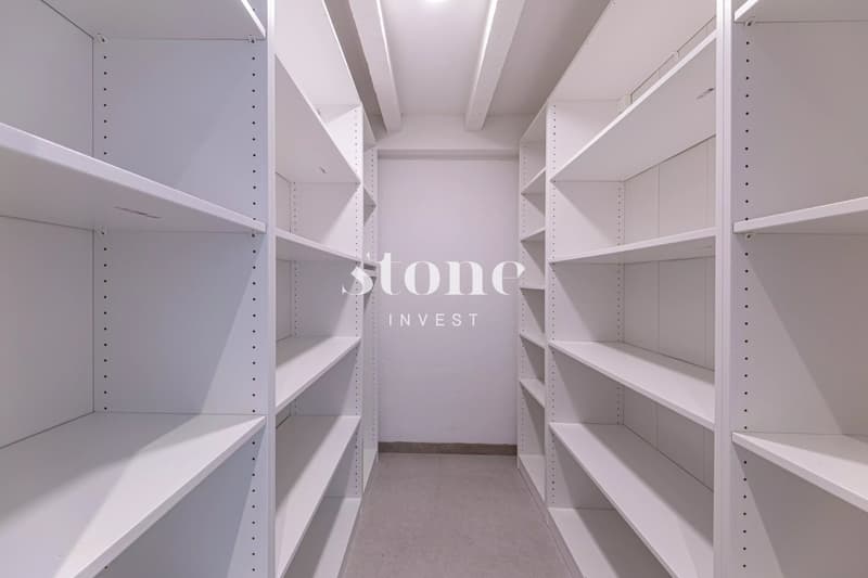 Beautiful individual house in Vernier (12)