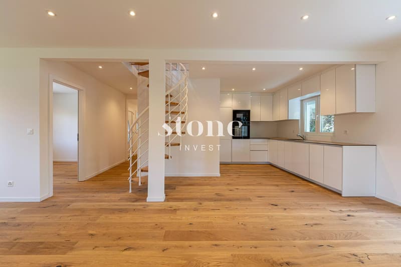 Beautiful individual house in Vernier (2)