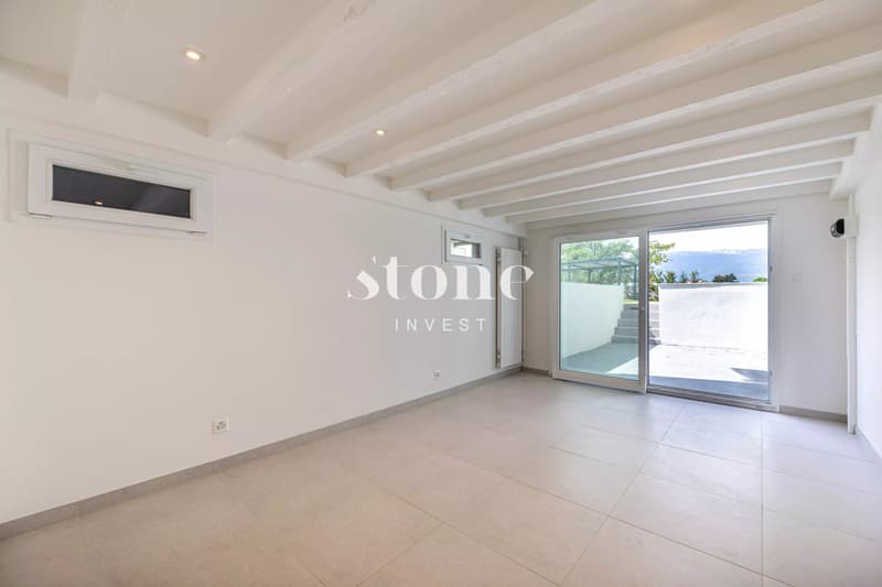 Beautiful individual house in Vernier (11)