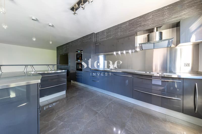 Magnificent 5-room apartment of 140m2 in Carouge (5)
