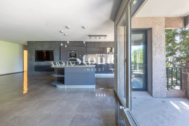 Magnificent 5-room apartment of 140m2 in Carouge (4)