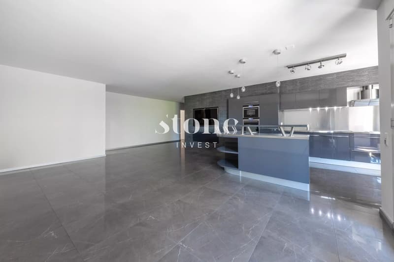Magnificent 5-room apartment of 140m2 in Carouge (3)