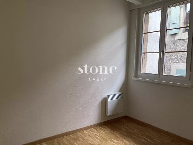 Magnifique DUPLEX au 3éme étage à Carouge (9)