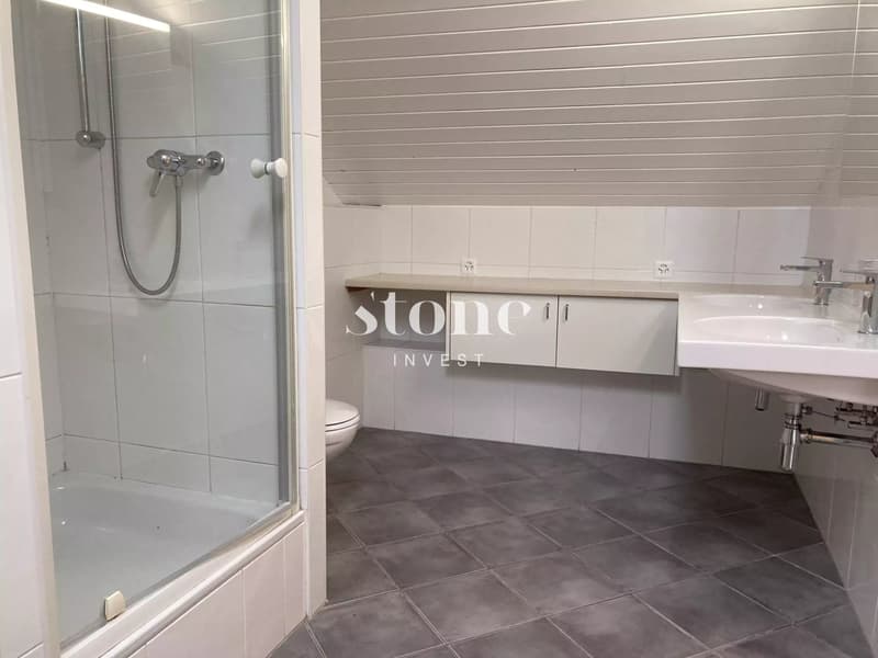 Magnifique DUPLEX au 3éme étage à Carouge (12)