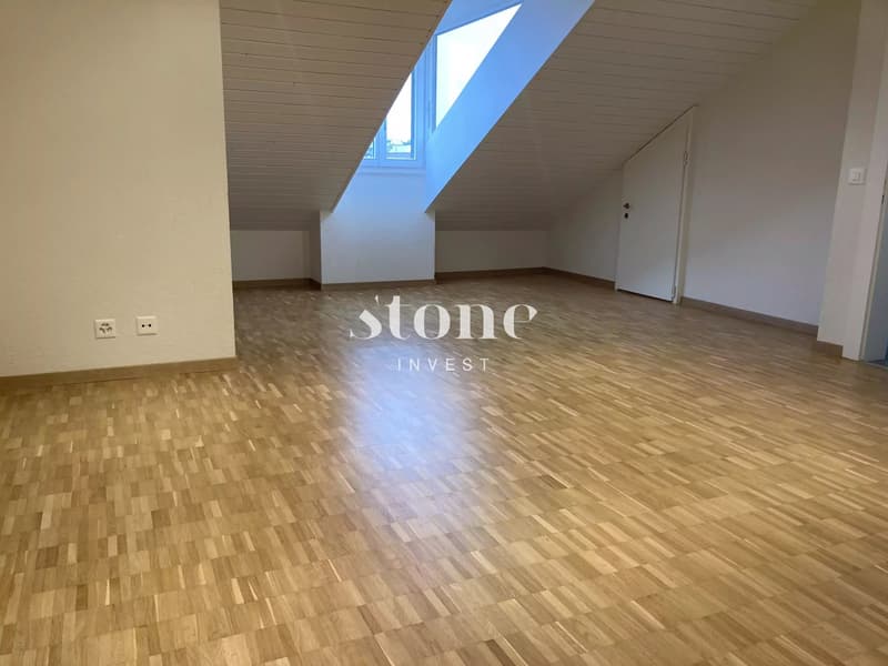 Magnifique DUPLEX au 3éme étage à Carouge (10)