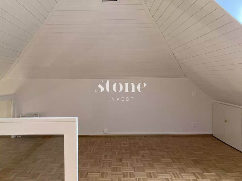Magnifique DUPLEX au 3éme étage à Carouge (4)